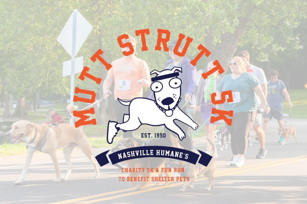 Music City Mutt Strutt - Connect